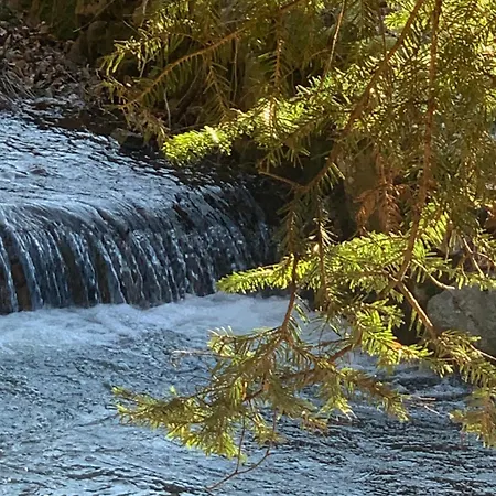 Elf-cottage Frühstückspension 3*